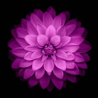 HD iPhone 6 wallpaper