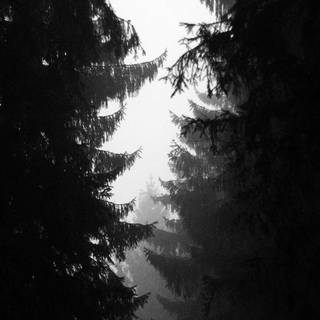 4k dark iPhone wallpaper