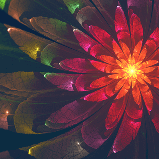 Colorful abstract flower wallpaper