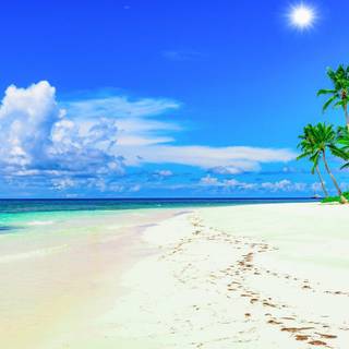 Palm trees tropical island wallpaper