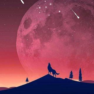 Best phone wallpaper