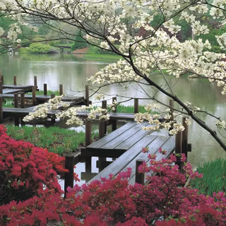 Autumn zen garden wallpaper