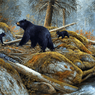 Autumn black bear wallpaper