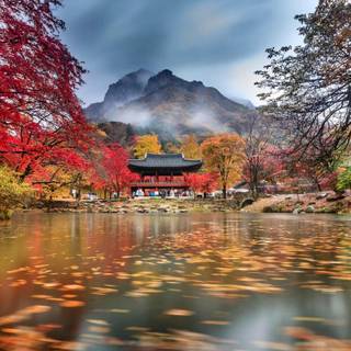 Autumn temple wallpaper