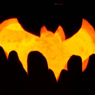 Pumkin silhouette wallpaper