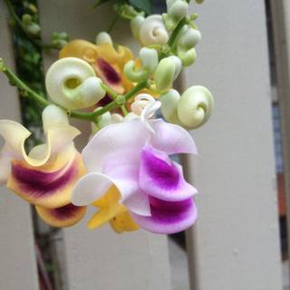 I Know You're Somewhere wallpaper