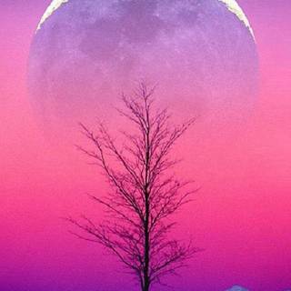 Aesthetic phone HD wallpaper