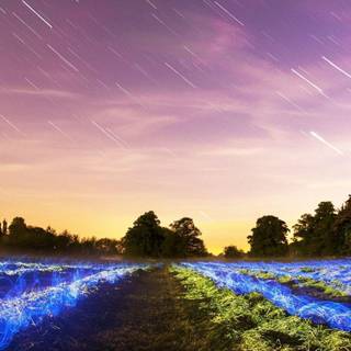 Latest for mobile wallpaper