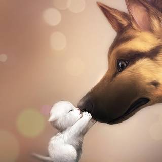 Adorable dog wallpaper