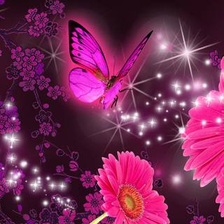 Daisies and butterflies wallpaper