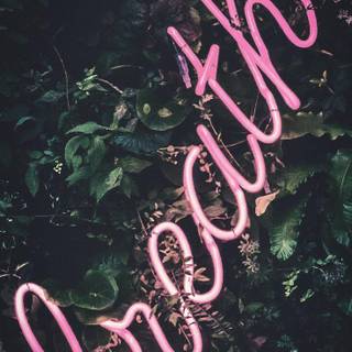 iPhone Xs Max UHD wallpaper