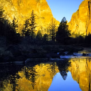 Nature HD smartphone wallpaper