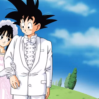 Chi-Chi Dragon Ball Z wallpaper