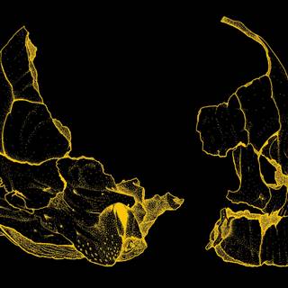 Aesthetic computer wallpaper