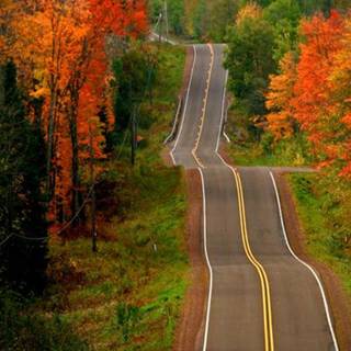 Autumn Mobile wallpaper