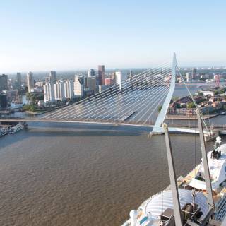 Erasmusbrug Rotterdam wallpaper