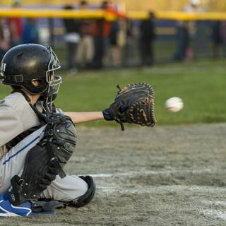 Little League Baseball wallpaper