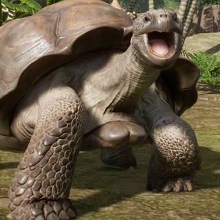 Planet Zoo wallpaper