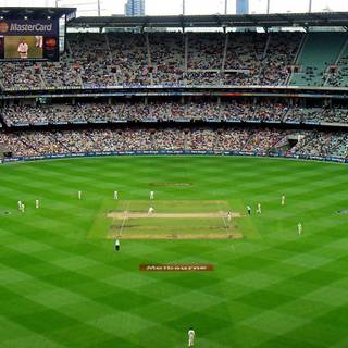Cricket pitch wallpaper