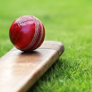 Cricket pitch wallpaper