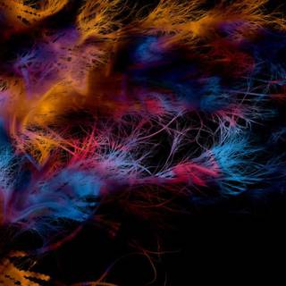 Android full color wallpaper