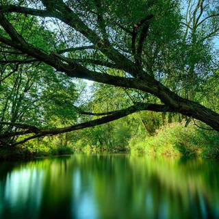 HD themes desktop wallpaper