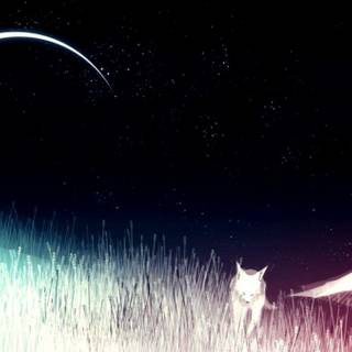 Fantasy girl moon wallpaper