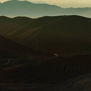 Green dark iPhone wallpaper