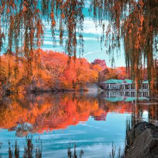 Beautiful landscape 4k wallpaper