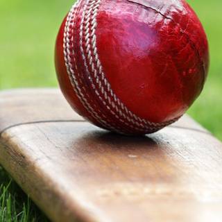 Cricket HD Mobile wallpaper
