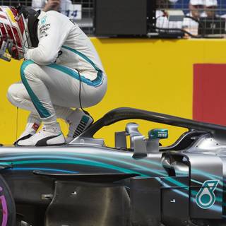 Hamilton championship 2019 wallpaper
