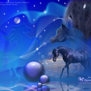 Free wallpaper computer screen