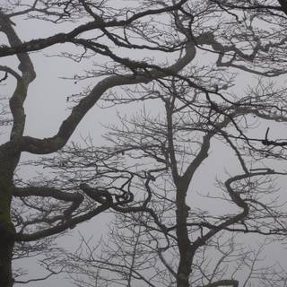 Grey aesthetic wallpaper