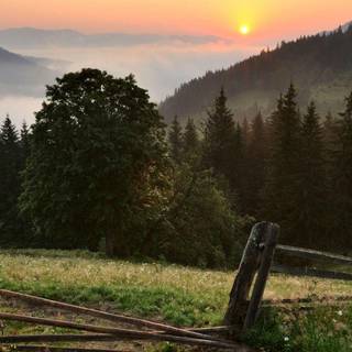 Ukraine autumn wallpaper