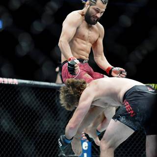 Jorge Masvidal wallpaper