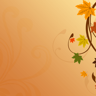 Cute Thanksgiving HD wallpaper