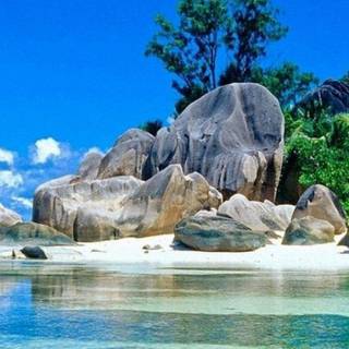 Best nature Android wallpaper