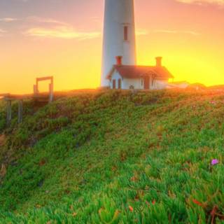 Best nature Android wallpaper