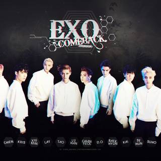 EXO Love Shot desktop wallpaper