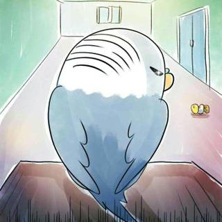 A Budgie's Life wallpaper