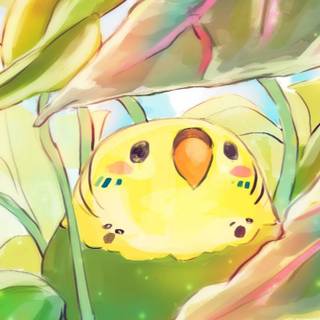 A Budgie's Life wallpaper