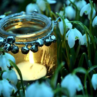 Jar of lights wallpaper