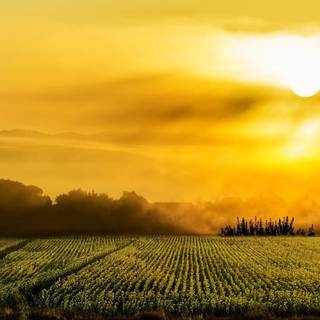Tuscany sunset wallpaper