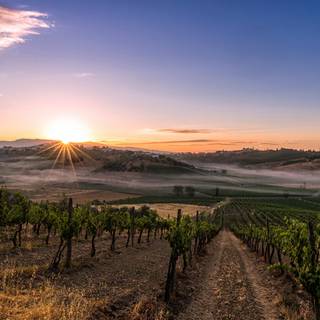 Tuscany sunset wallpaper