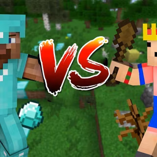 Noob vs Pro wallpaper