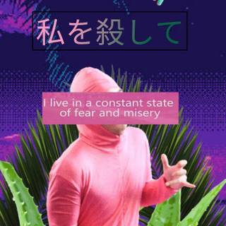 Meme aesthetic wallpaper