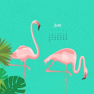 June 2020 calendar wallpaper