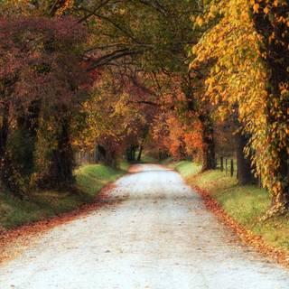 Autumn on the farm wallpaper