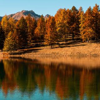 Autumn lake panorama wallpaper
