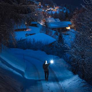 Winter walk wallpaper